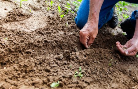 Labour hire: do you know your obligations?