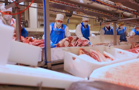 AMPC webinar series: Bullying and Harassment